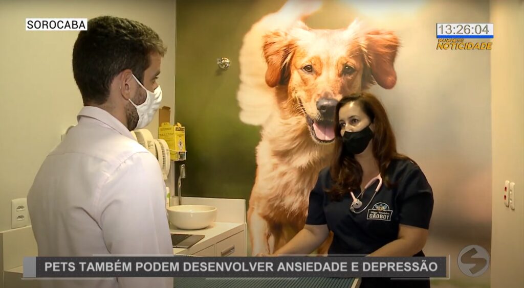 Pets no mercado de trabalho - CãoBoy Clínica Veterinária