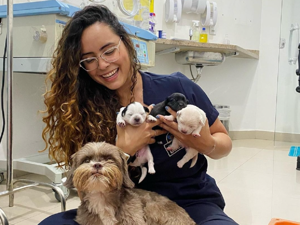 Pets no mercado de trabalho - CãoBoy Clínica Veterinária