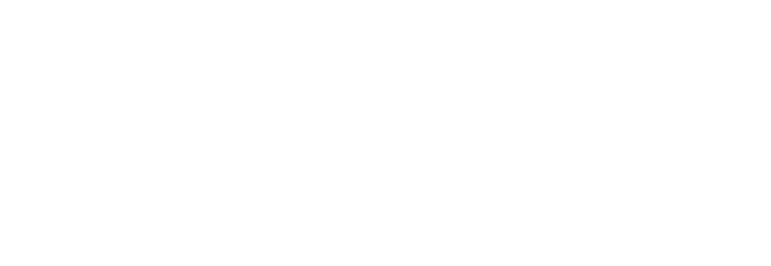 logonovo-caoboy