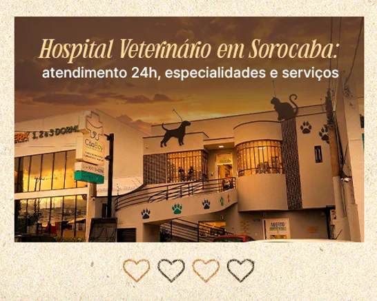 Banner com a frase: Hospital Veterinário em Sorocaba – atendimento 24h, especialidades e serviços.